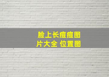 脸上长痘痘图片大全 位置图